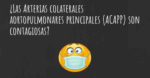 ¿Las Arterias colaterales aortopulmonares principales (ACAPP) son contagiosas?