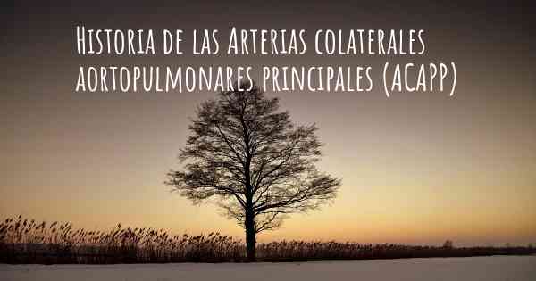 Historia de las Arterias colaterales aortopulmonares principales (ACAPP)