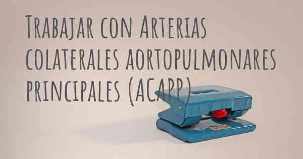Trabajar con Arterias colaterales aortopulmonares principales (ACAPP)
