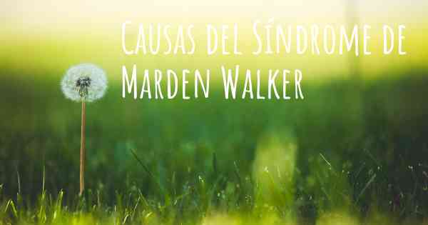Causas del Síndrome de Marden Walker