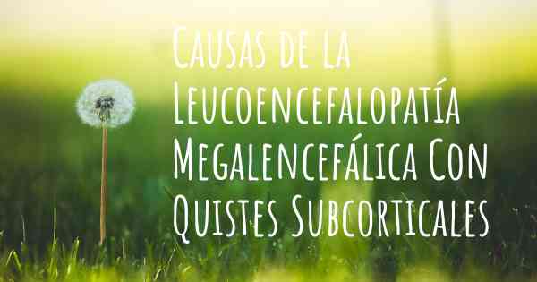 Causas de la Leucoencefalopatía Megalencefálica Con Quistes Subcorticales