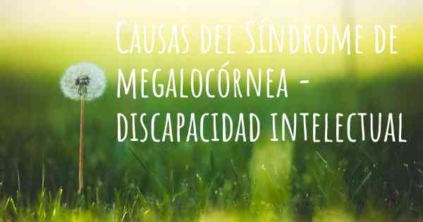 Causas del Síndrome de megalocórnea - discapacidad intelectual