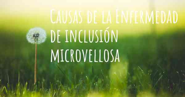 Causas de la Enfermedad de inclusión microvellosa