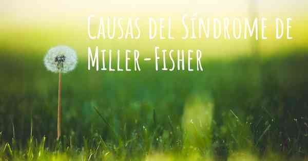 Causas del Síndrome de Miller-Fisher