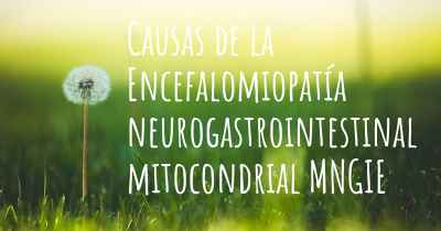 Causas de la Encefalomiopatía neurogastrointestinal mitocondrial MNGIE