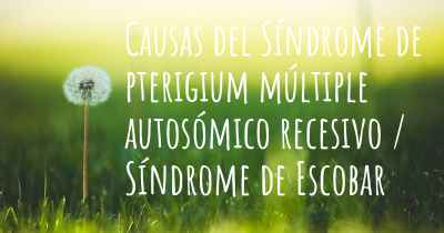 Causas del Síndrome de pterigium múltiple autosómico recesivo / Síndrome de Escobar