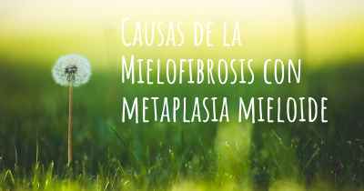 Causas de la Mielofibrosis con metaplasia mieloide