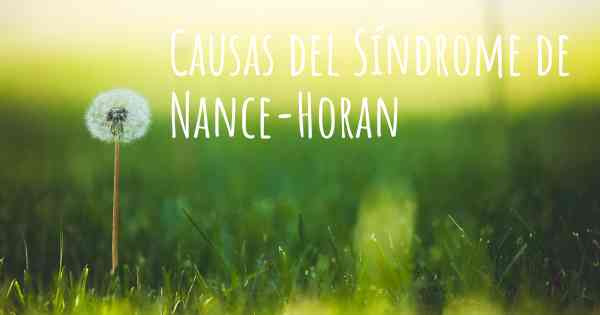 Causas del Síndrome de Nance-Horan