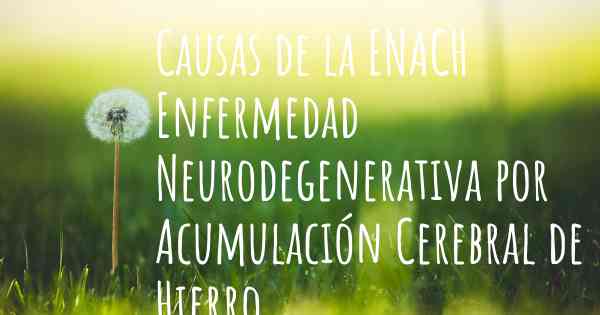 Causas de la ENACH Enfermedad Neurodegenerativa por Acumulación Cerebral de Hierro