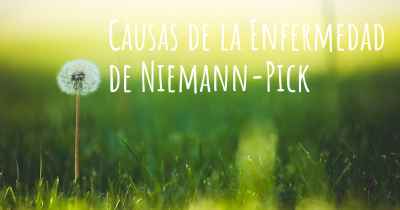 Causas de la Enfermedad de Niemann-Pick