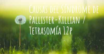 Causas del Síndrome de Pallister-Killian / Tetrasomía 12p