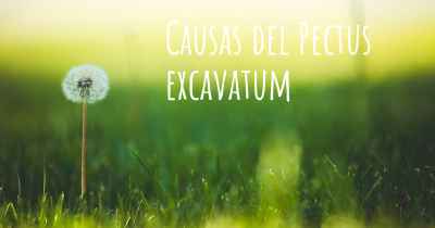 Causas del Pectus excavatum