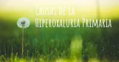 Causas de la Hiperoxaluria Primaria