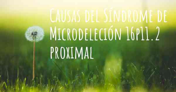 Causas del Síndrome de Microdeleción 16p11.2 proximal
