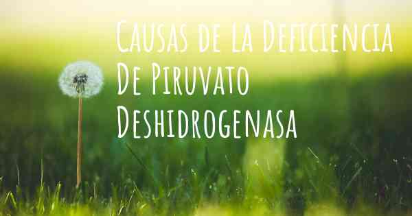Causas de la Deficiencia De Piruvato Deshidrogenasa