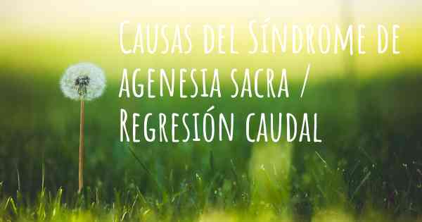 Causas del Síndrome de agenesia sacra / Regresión caudal