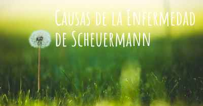 Causas de la Enfermedad de Scheuermann