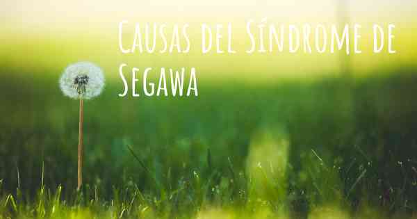 Causas del Síndrome de Segawa