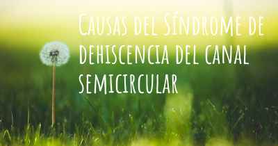 Causas del Síndrome de dehiscencia del canal semicircular
