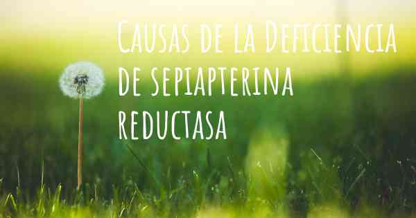 Causas de la Deficiencia de sepiapterina reductasa