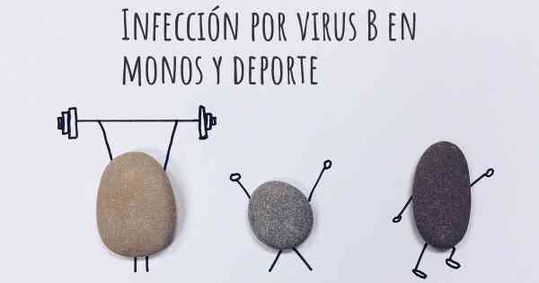 Infección por virus B en monos y deporte