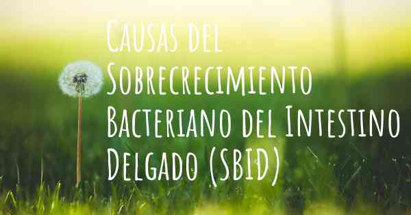 Causas del Sobrecrecimiento Bacteriano del Intestino Delgado (SBID)