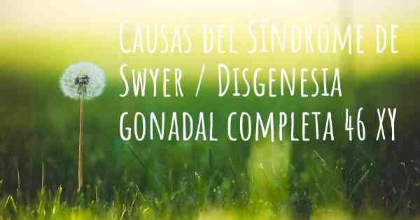 Causas del Síndrome de Swyer / Disgenesia gonadal completa 46 XY