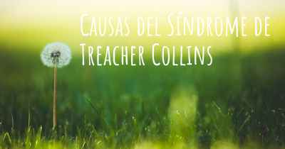 Causas del Síndrome de Treacher Collins