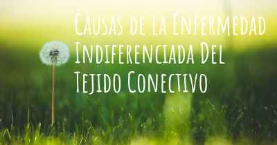 Causas de la Enfermedad Indiferenciada Del Tejido Conectivo