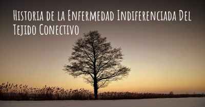 Historia de la Enfermedad Indiferenciada Del Tejido Conectivo