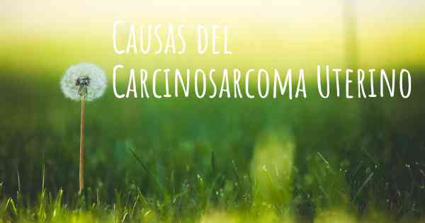Causas del Carcinosarcoma Uterino