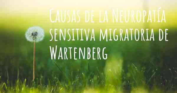 Causas de la Neuropatía sensitiva migratoria de Wartenberg
