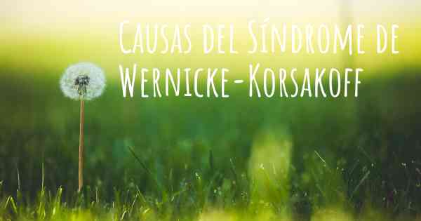 Causas del Síndrome de Wernicke-Korsakoff