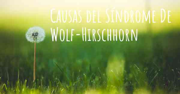 Causas del Síndrome De Wolf-Hirschhorn