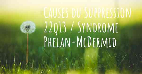 Causes du Suppression 22q13 / Syndrome Phelan-McDermid