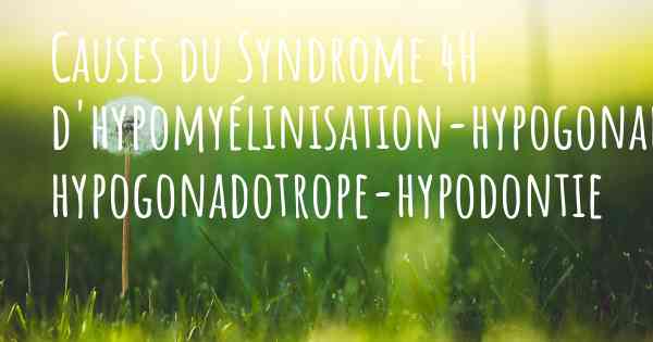 Causes du Syndrome 4H d'hypomyélinisation-hypogonadisme hypogonadotrope-hypodontie