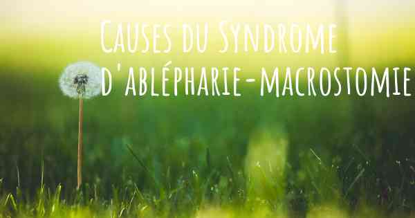 Causes du Syndrome d'ablépharie-macrostomie