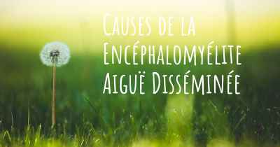 Causes de la Encéphalomyélite Aiguë Disséminée