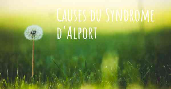 Causes du Syndrome d'Alport