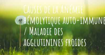 Causes de la Anémie hémolytique auto-immune / Maladie des agglutinines froides