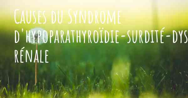 Causes du Syndrome d'hypoparathyroïdie-surdité-dysplasie rénale