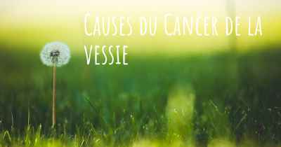 Causes du Cancer de la vessie