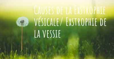 Causes de la Exstrophie vésicale/ Exstrophie de la vessie