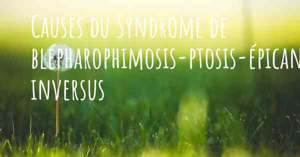 Causes du Syndrome de blépharophimosis-ptosis-épicanthus inversus