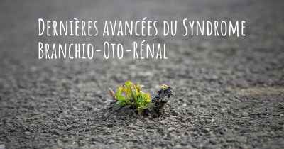 Dernières avancées du Syndrome Branchio-Oto-Rénal
