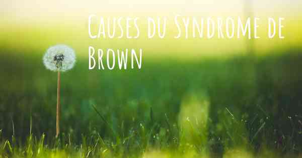 Causes du Syndrome de Brown