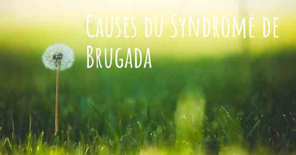 Causes du Syndrome de Brugada