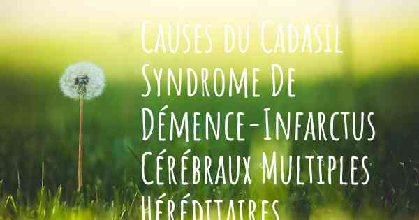 Causes du Cadasil Syndrome De Démence-Infarctus Cérébraux Multiples Héréditaires