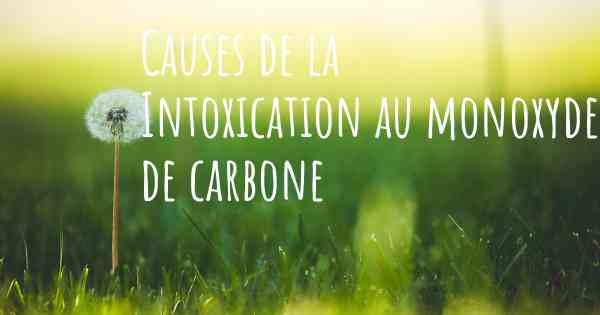 Causes de la Intoxication au monoxyde de carbone