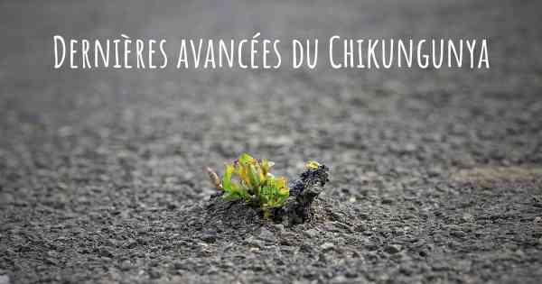 Dernières avancées du Chikungunya